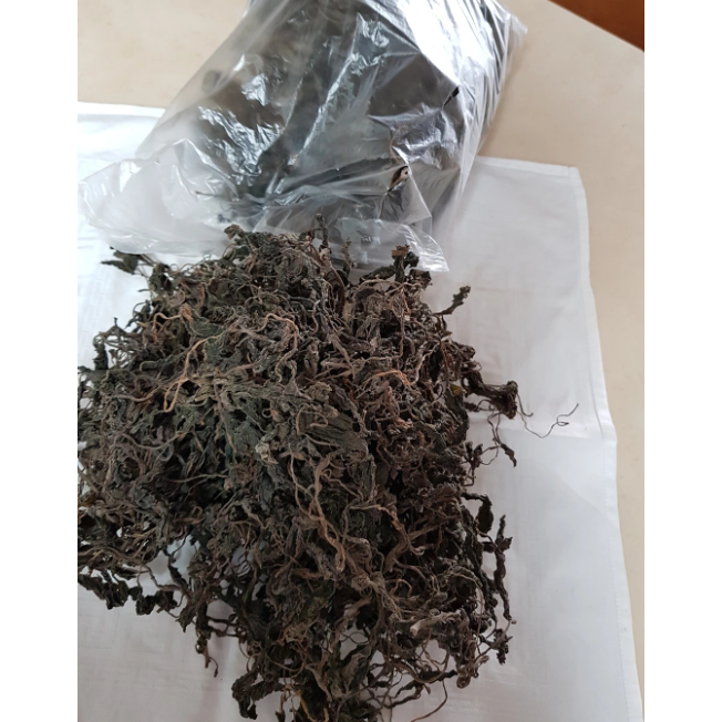 건곤드레나물 영월 곤드레 말린곤드레, 400g, 1개 - thumb image