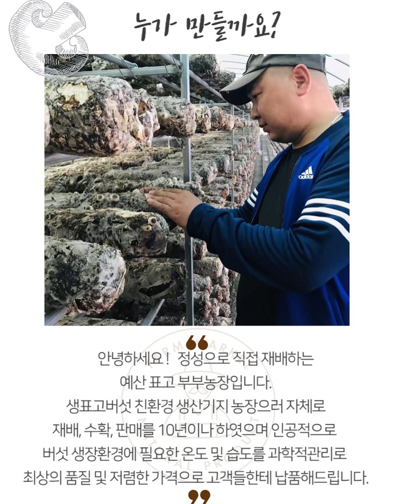 [예산농장-봉산버섯] 건표고(슬라으스) 200g/봉, 200g, 1개
